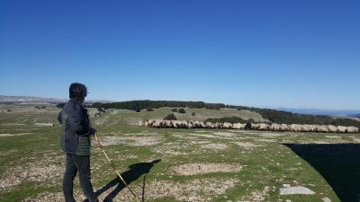 ORGANIC beer and cheese at the foot of the Urbasa-Andia mountain range